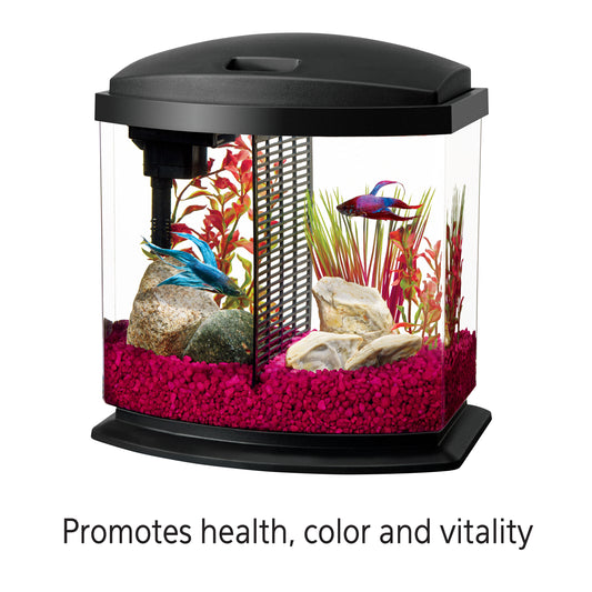 AQE BETTA WATER RENEWAL 4OZ