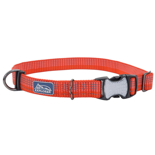 K9 BRIGHTS CLR 5/8"X8-12 CYN