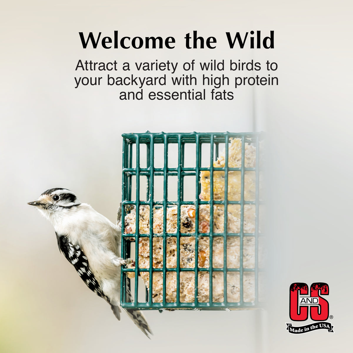 C&S PEANUT SUET VALUEPK 8PK