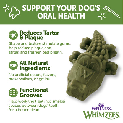 WHIMZEE ALLIGATOR DENTAL CH M