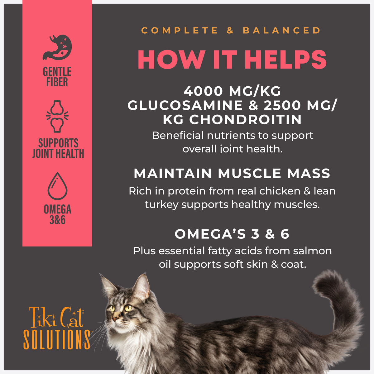 TIKI CAT SOL MOBILITY 2.8#
