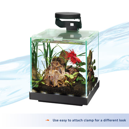 AQE FIXTURE LED LIGHT BETTA