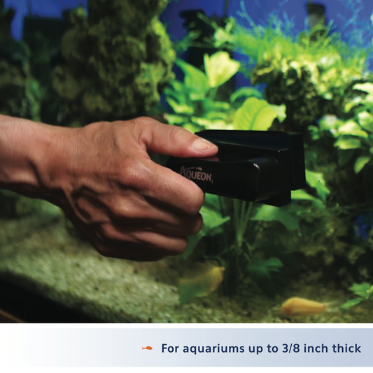 AQUEON CLNR MAGNET ALGAE MD