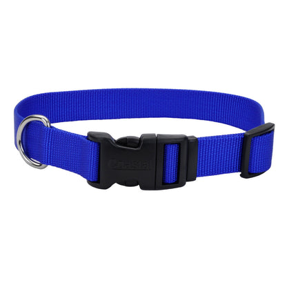 COASTAL COLLAR 20 BLUE