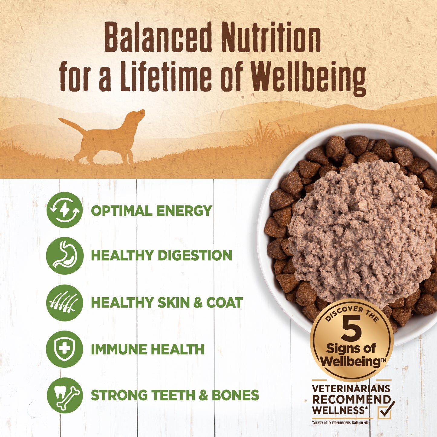WELLNESS 95% LAMB 13.2oz