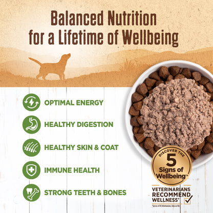 WELLNESS 95% LAMB 13.2oz