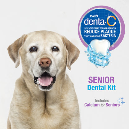 NYLABONE SR DENTAL KIT S