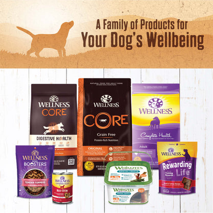 WELLNESS 95% LAMB 13.2oz