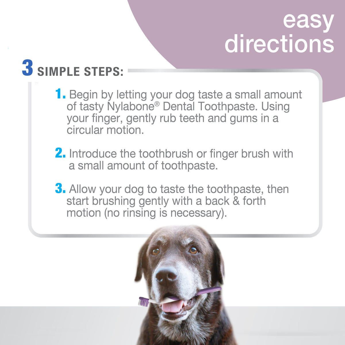 NYLABONE SR DENTAL KIT S