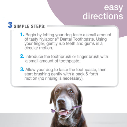 NYLABONE SR DENTAL KIT S