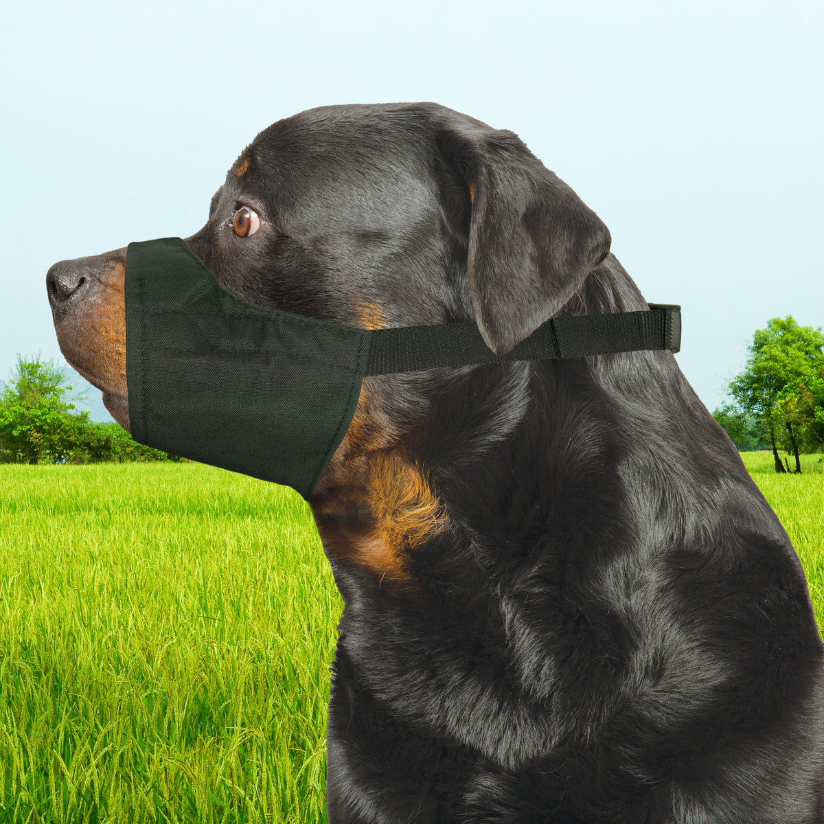 QUICK FIT MUZZLE SIZE 4