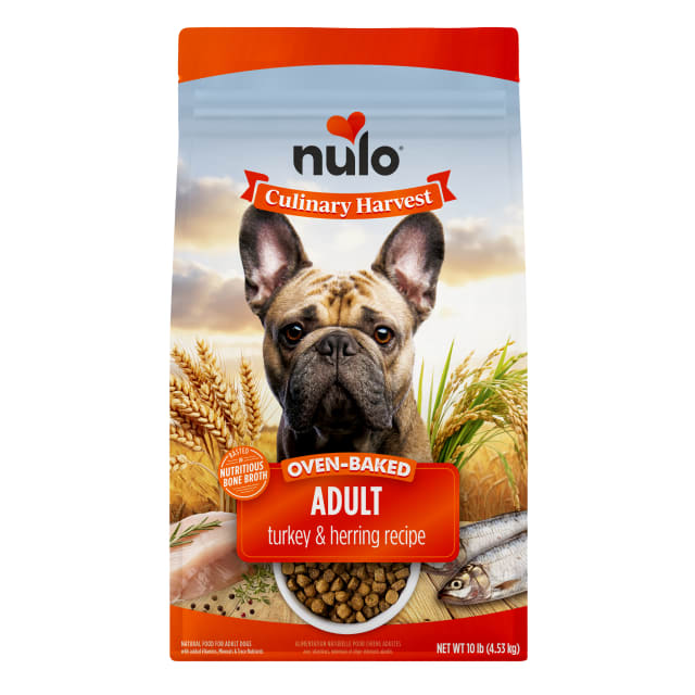 NULO CULINARY HARV TUR/HER 10#