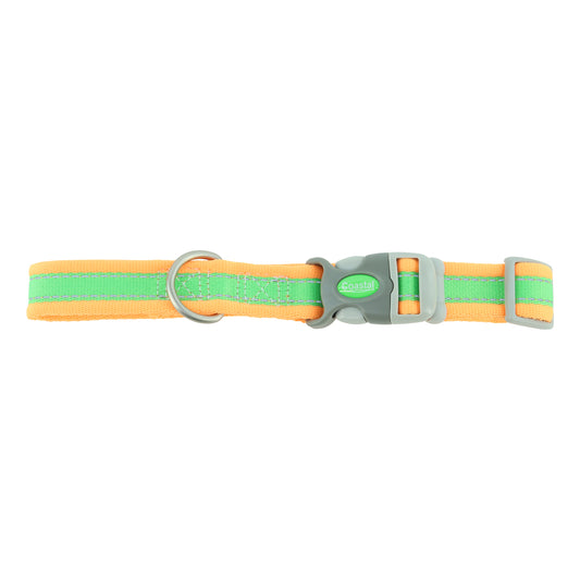 COASTAL ATTIRE 1" PRO CLR LWO
