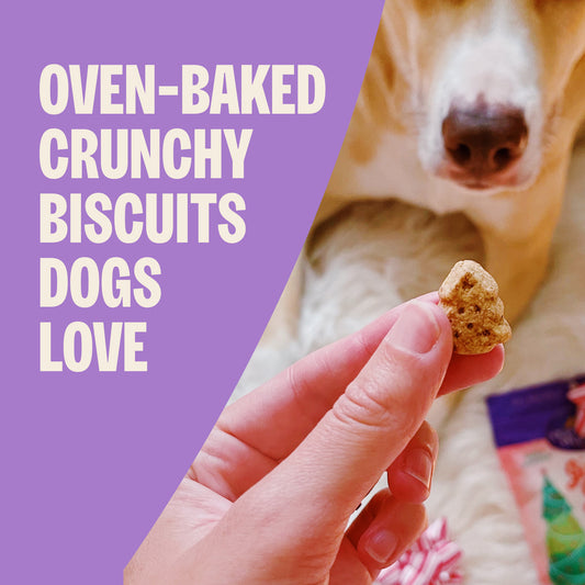 OMH WINTER FUN PB BISCUITS