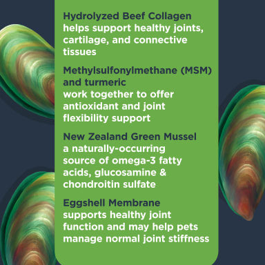 NULO MOBILITY CHEW SUPP 9.5Z