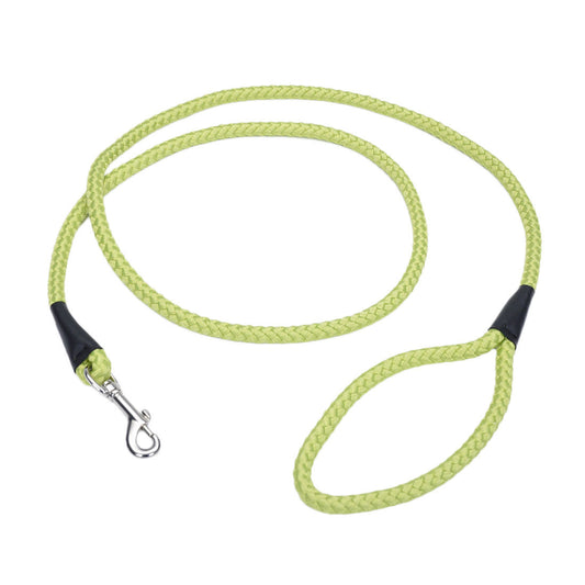 COASTAL ROPE LEASH LIME