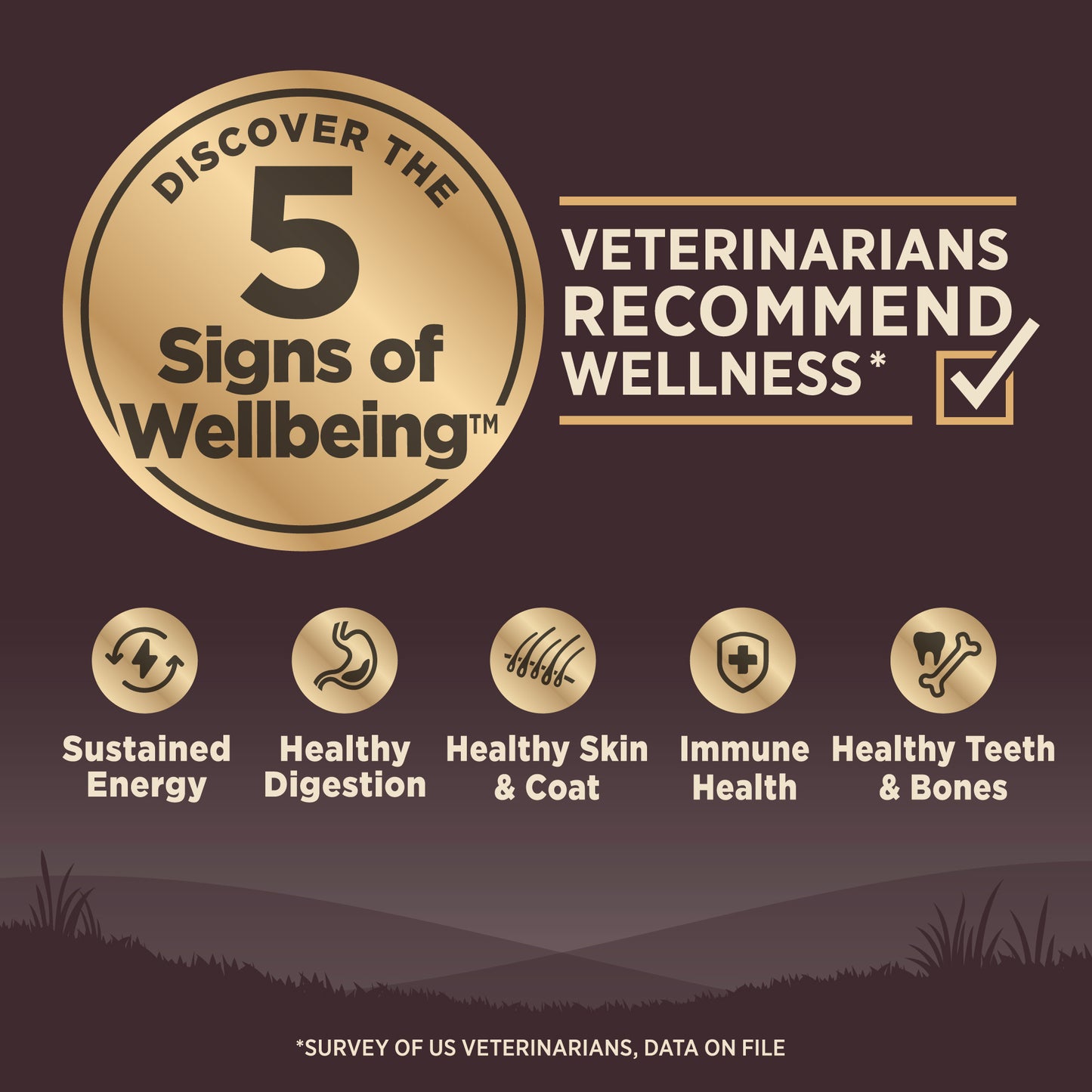 WELLNESS CORE REG 24#