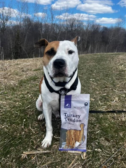 BARK 'N BIG DEHYD TRK TENDON