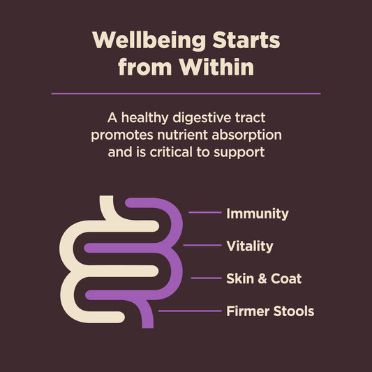 WELLNESS CORE DIGEST SR 24#