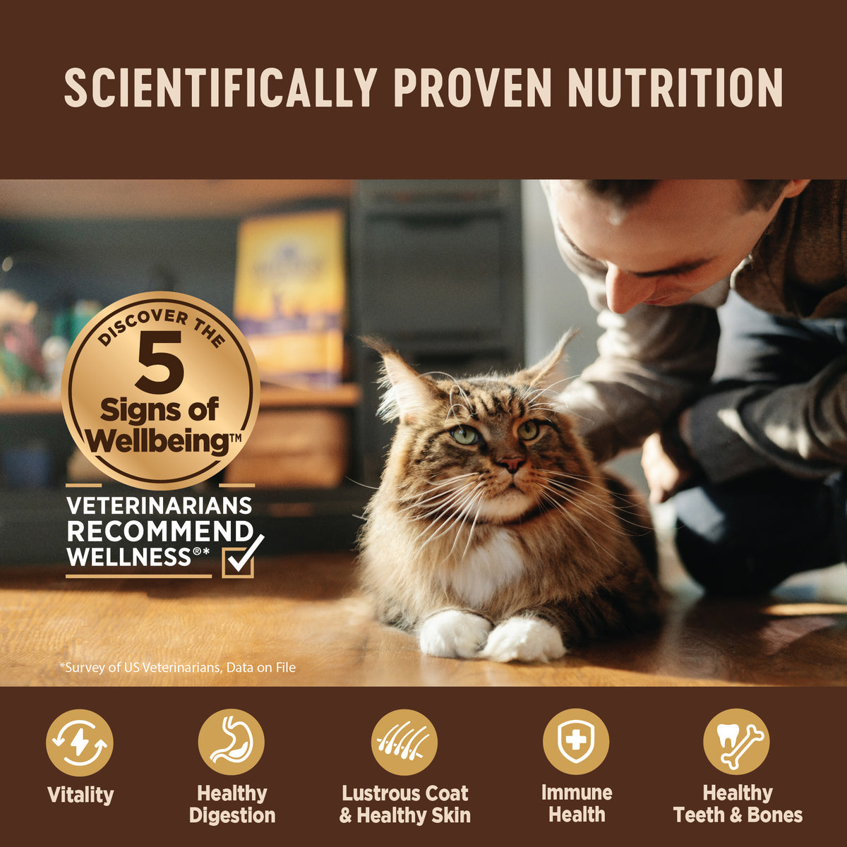 WELLNESS CORE CAT CHIK 5.5Z