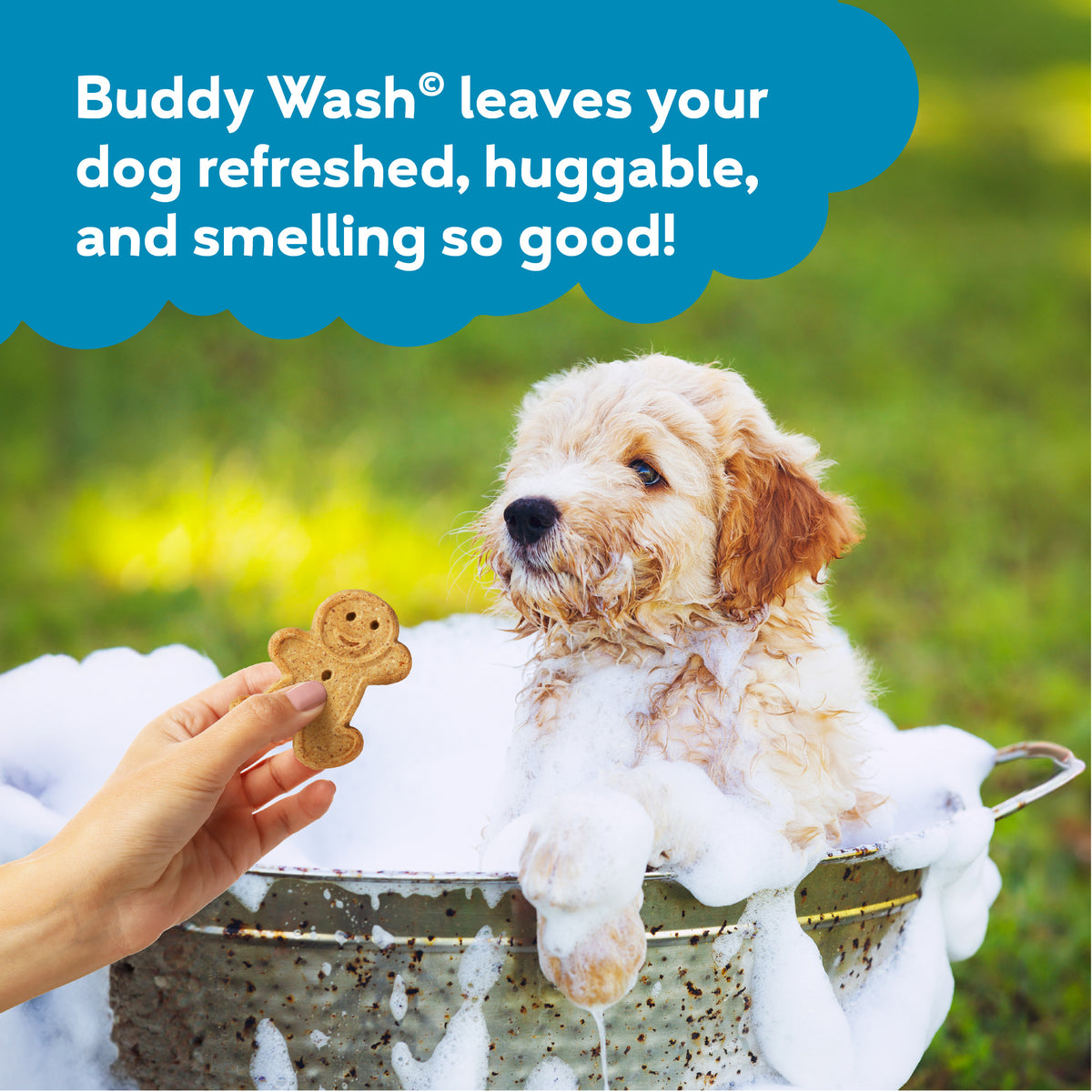 CLOUD STAR BUDDY WASH ROSEMARY