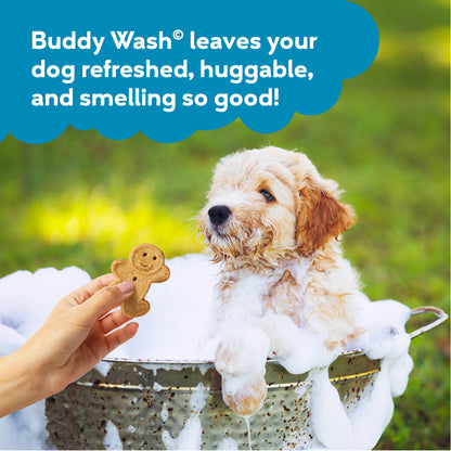 CLOUD STAR BUDDY WASH ROSEMARY