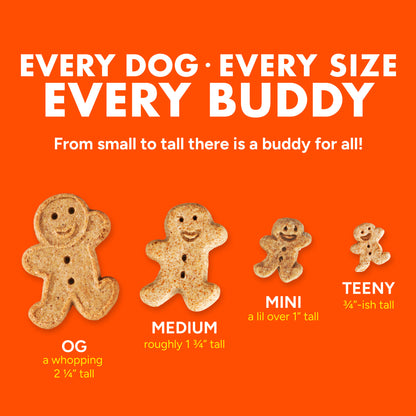 CLOUD STAR BUDDY BISCUITS 3.5#