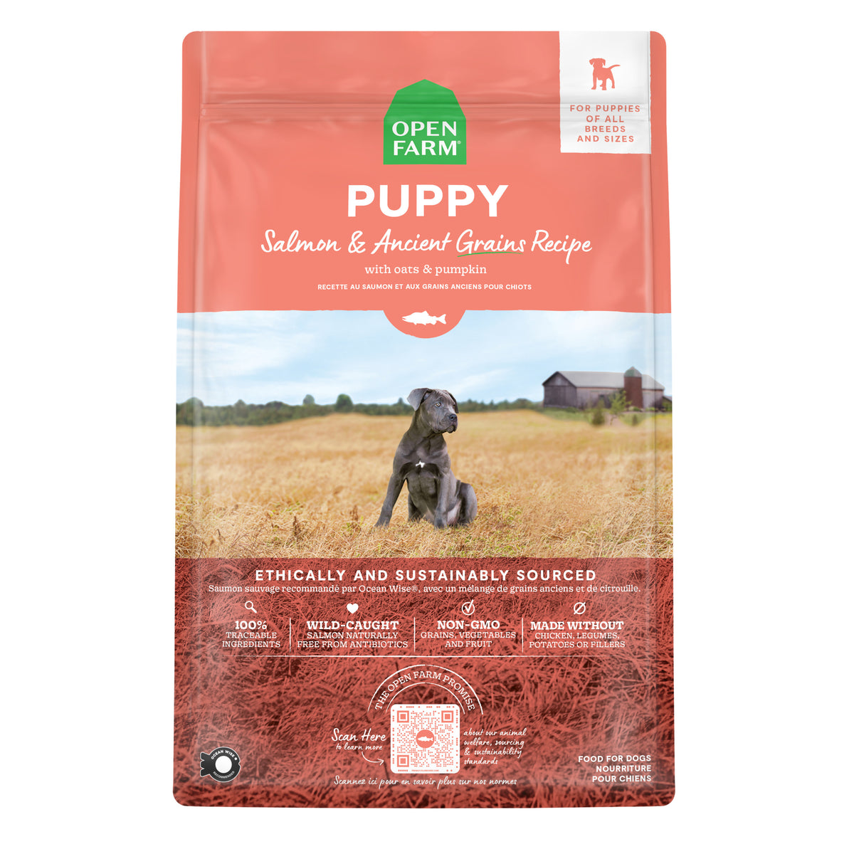 OPEN FARM ANCT GRN PUP SMN 22#