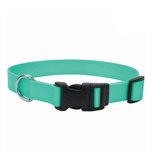 COASTAL 3/8" ADJ TEAL CLR