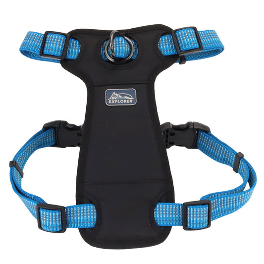 K9 BRT 5/8" HRN LAKE 24