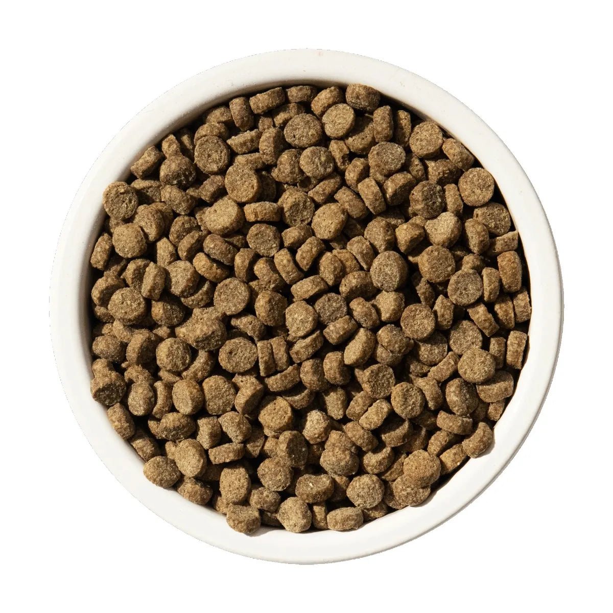 BIXBI CAT RAWBBLE CH DIGEST 3 - RJ Paddywacks
