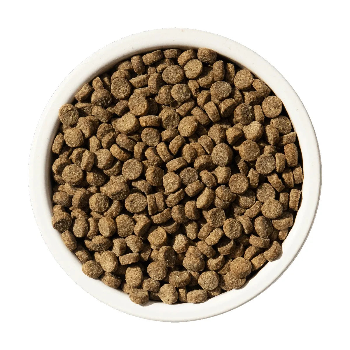 BIXBI CAT RAWBBLE CH DIGEST 3#