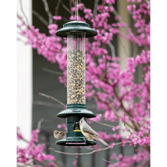 Brome Bird Care Squirrel Buster Evolution - RJ Paddywacks