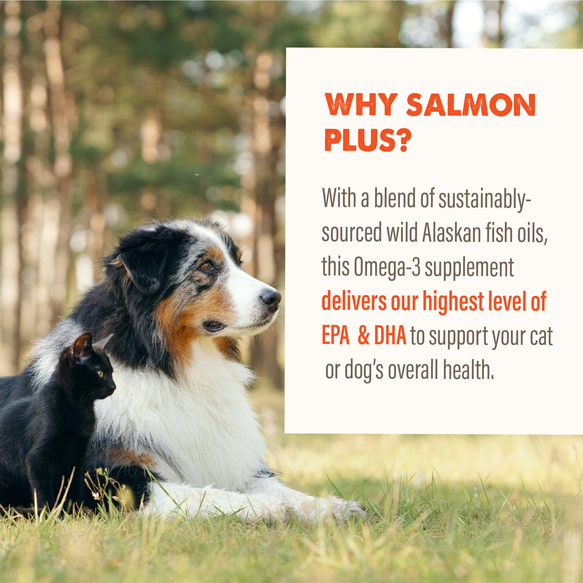 GRIZZLY SALMON OIL 16 OZ