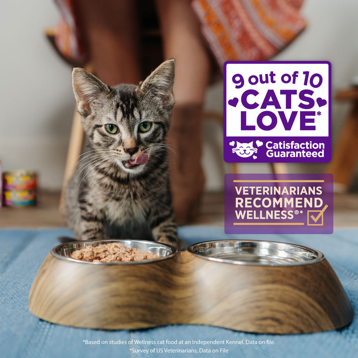 WELLNESS HLTHY INDUL SHRD TUNA