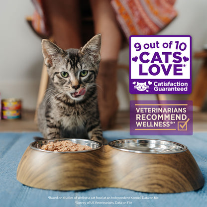 WELLNESS HLTHY INDUL SHRD TUNA