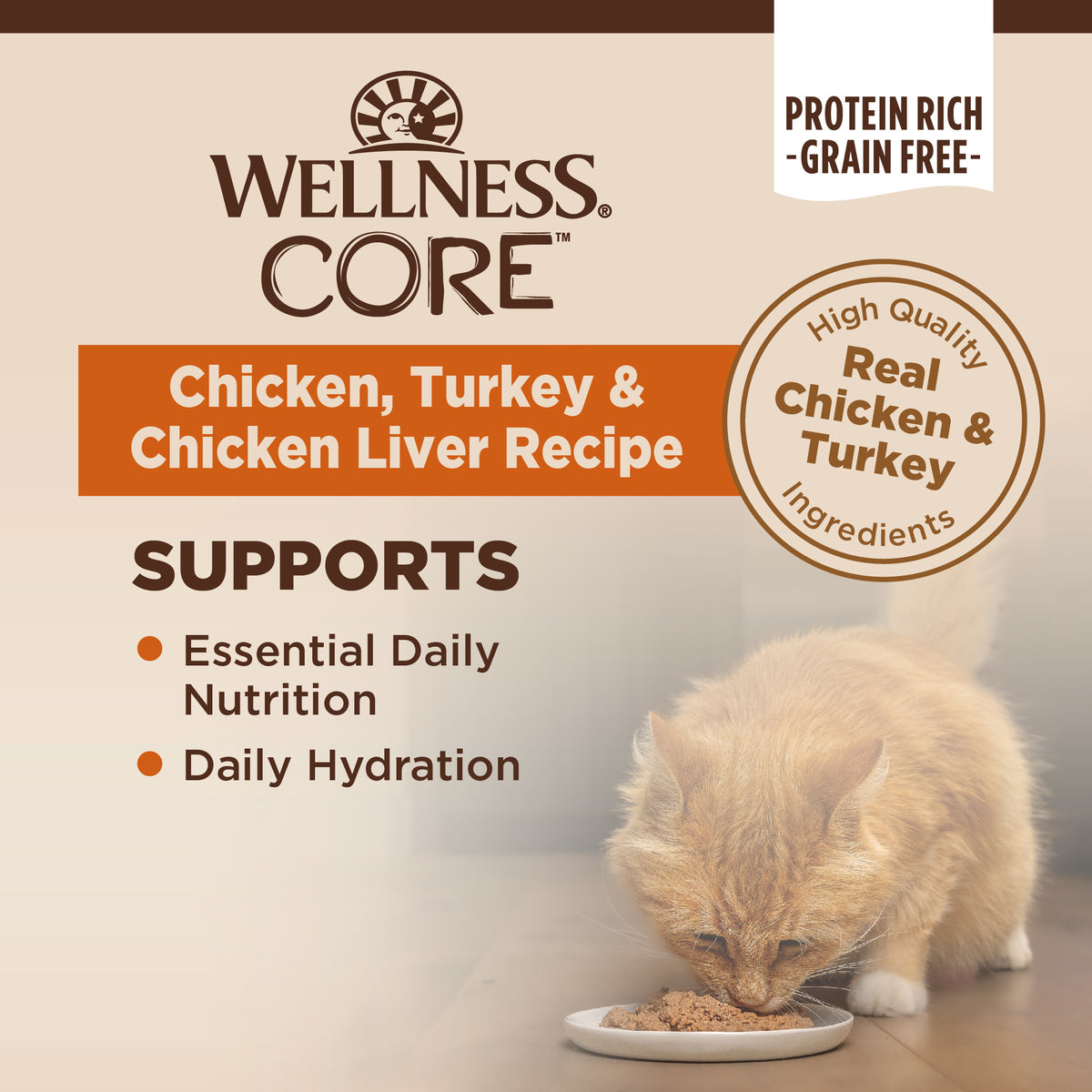 WELLNESS CORE CAT CHIK 5.5Z