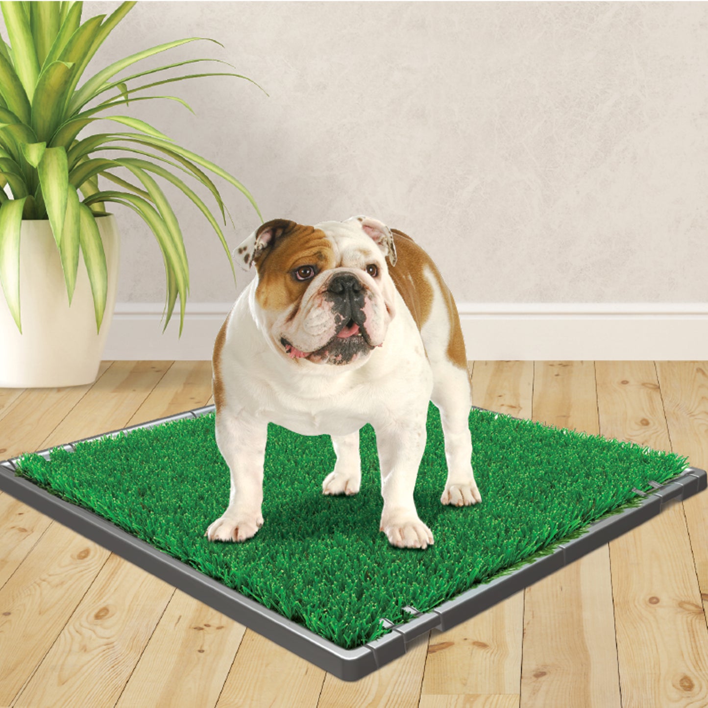 FOUR PAWS WEE WEE POTTY PATCH