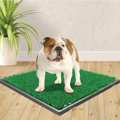 FOUR PAWS WEE WEE POTTY PATCH