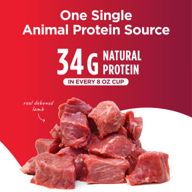NULO FREESTYLE LTD LAMB 22#