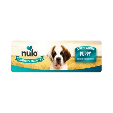 NULO CULINARY PUP CH/WHFSH 10#