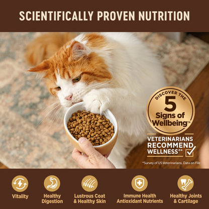 WELLNESS CORE KITTEN 5.14#