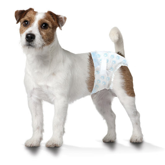 WEE WEE DIAPER 36 PC S
