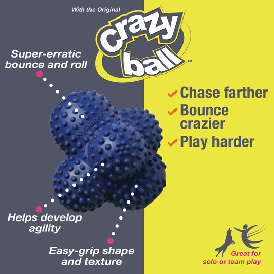 NYLABONE CRAZY BALL L
