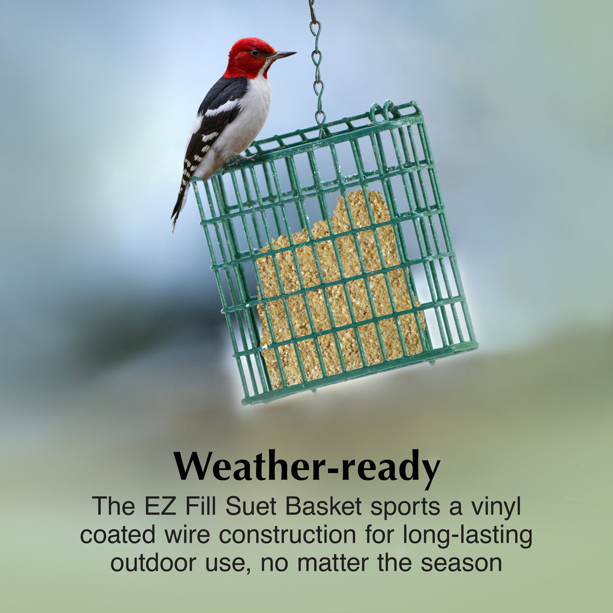 C&S SUET EZ FILL FEEDER BASKET