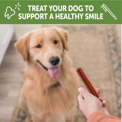 WHIMZEE STIX LG DENTAL CHEW