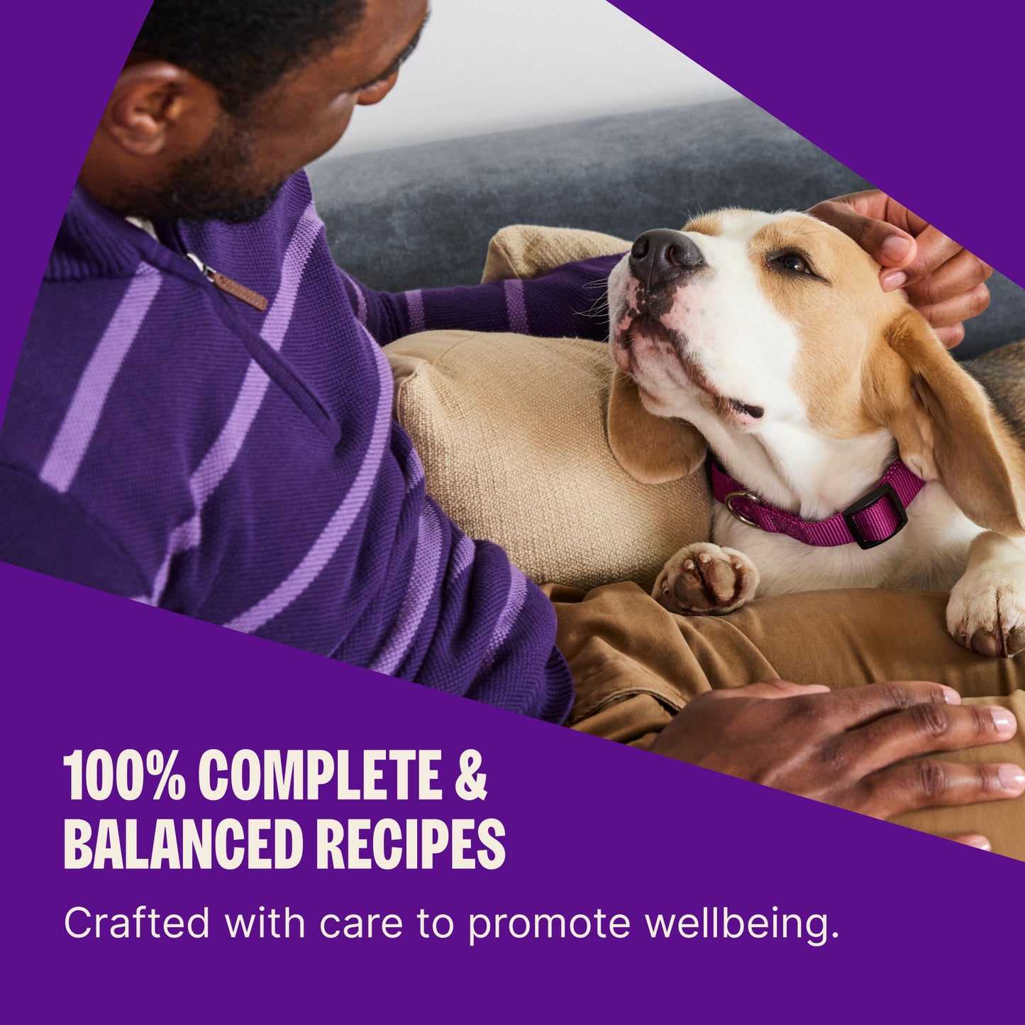 Wellness Complete Health Whitefish & Sweet Potato Dry Dog Food — 15 lb