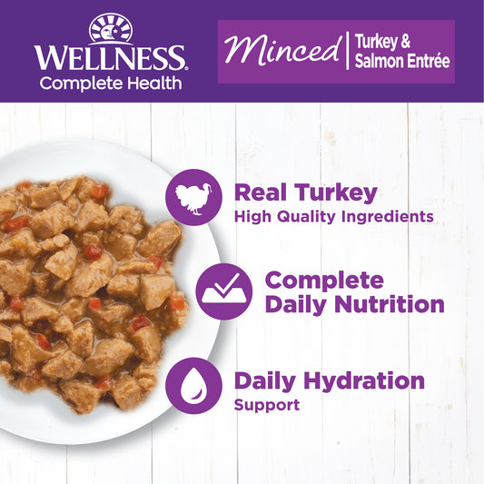 WELLNESS MINCED TURK SALM 5.5Z