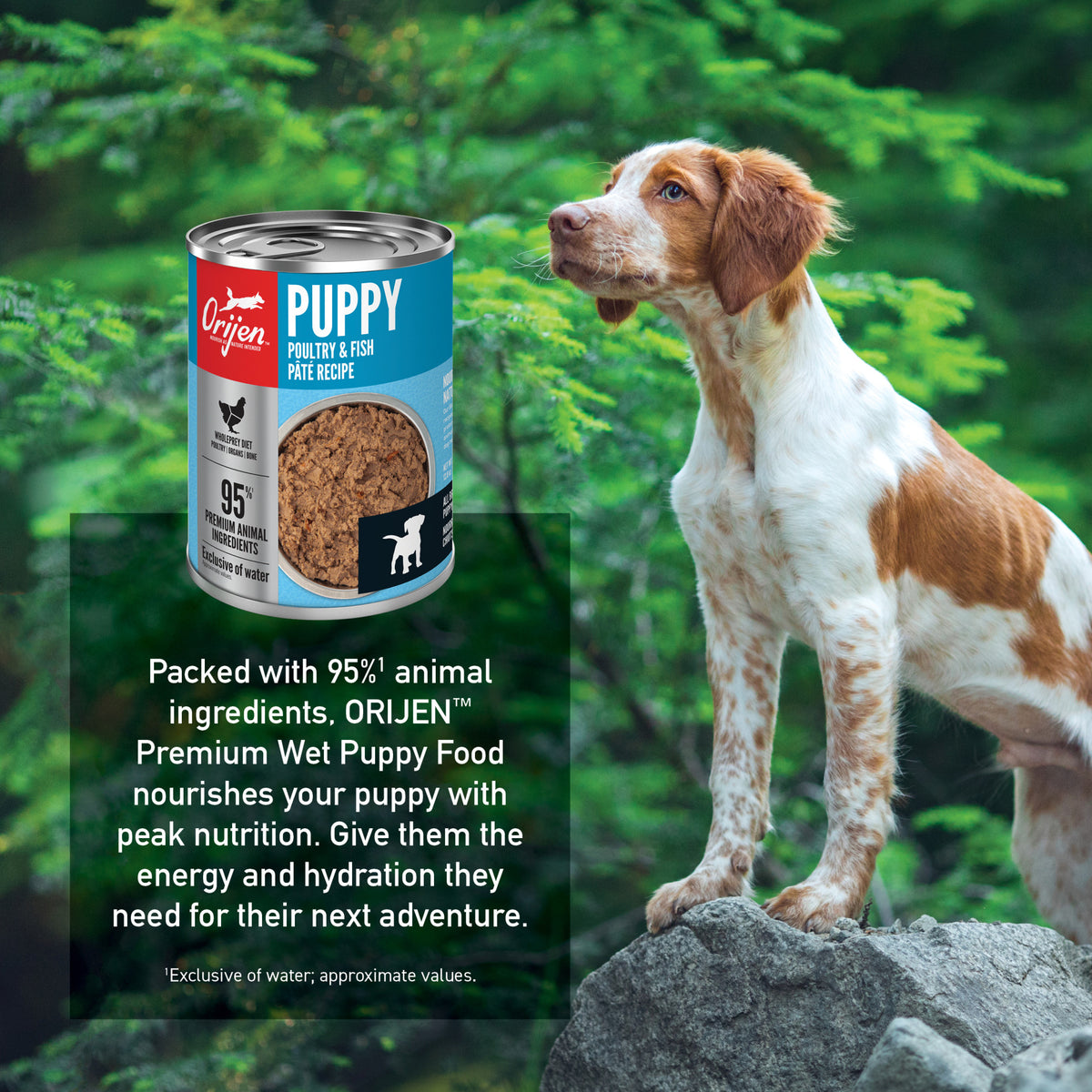 ORIJEN GF PUPPY STEW 12.8Z