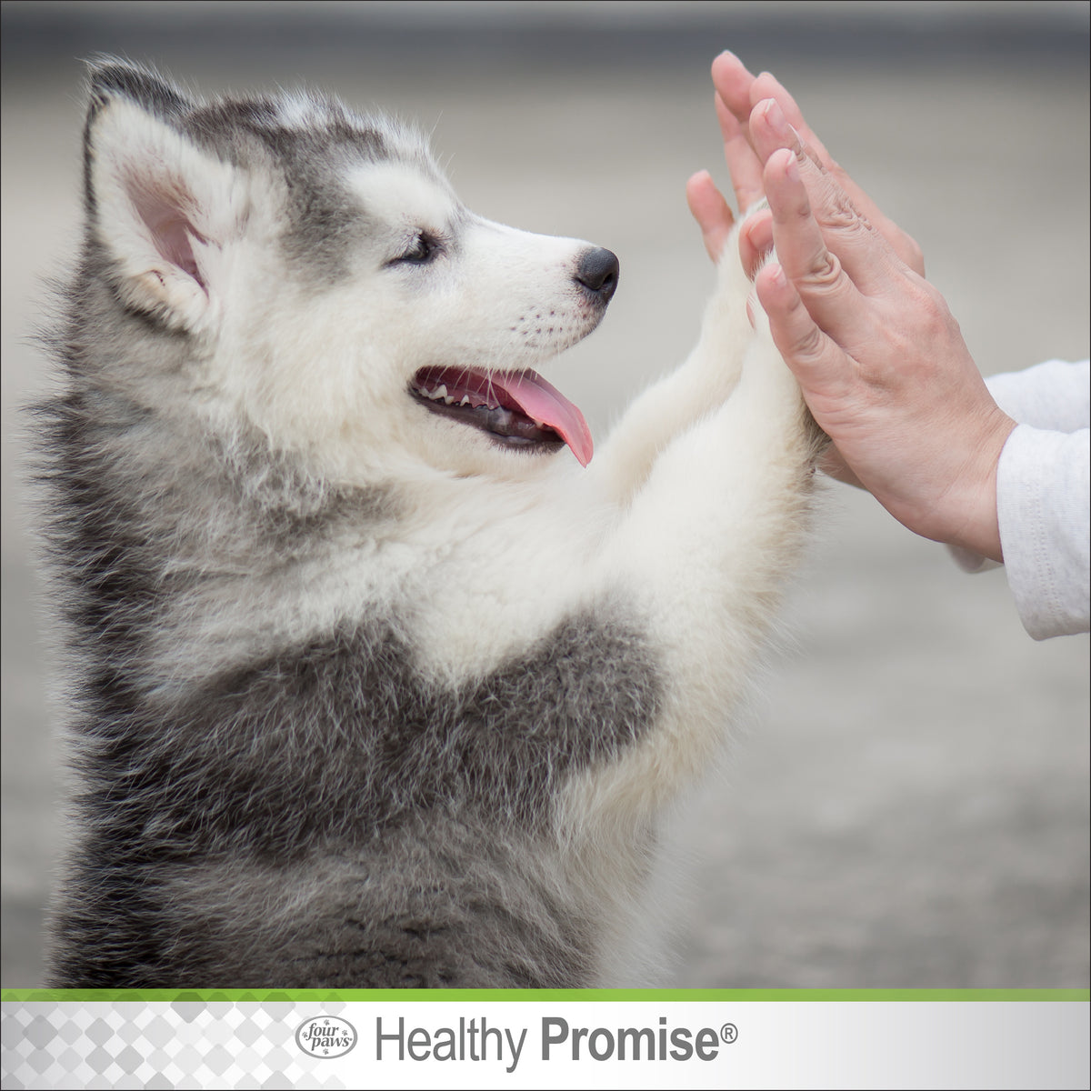FOUR PAWS REMEDY PAW GUARD